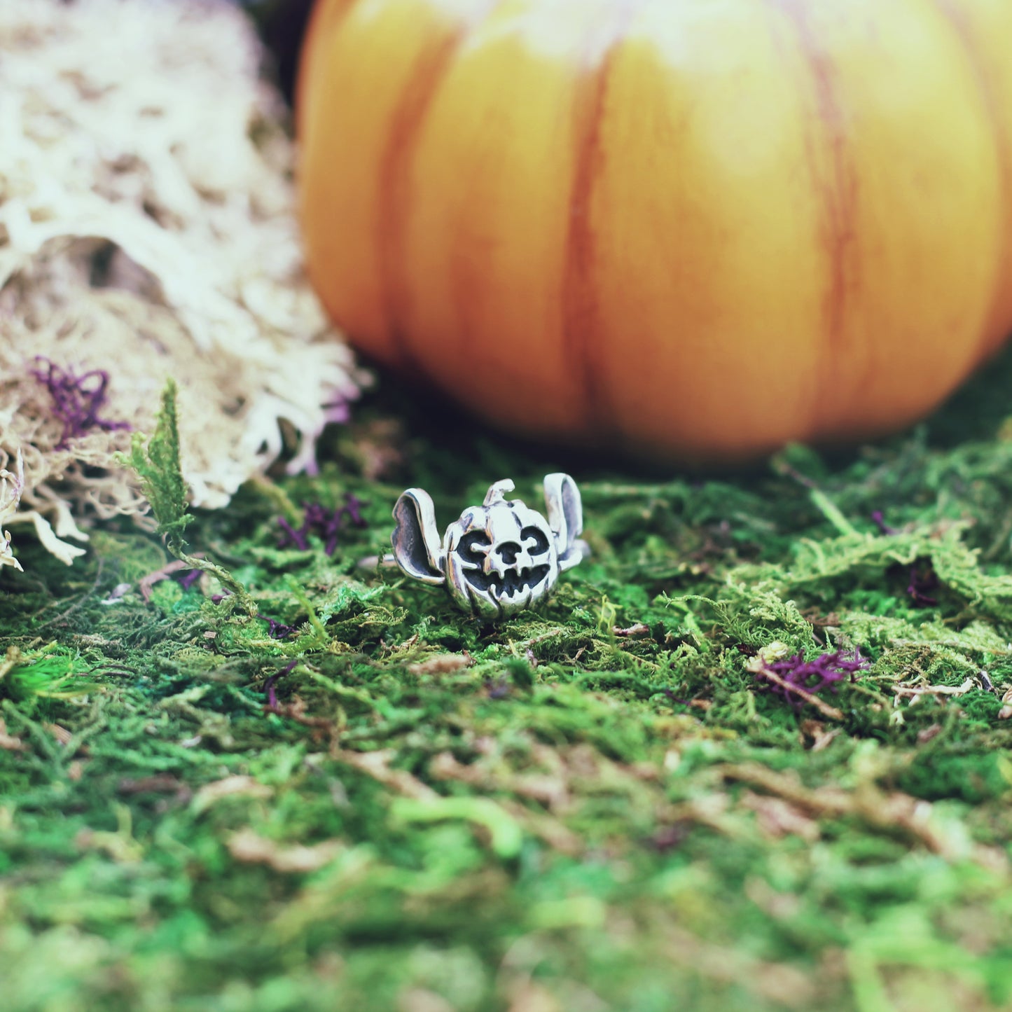 Pumpkin Experiment Ring