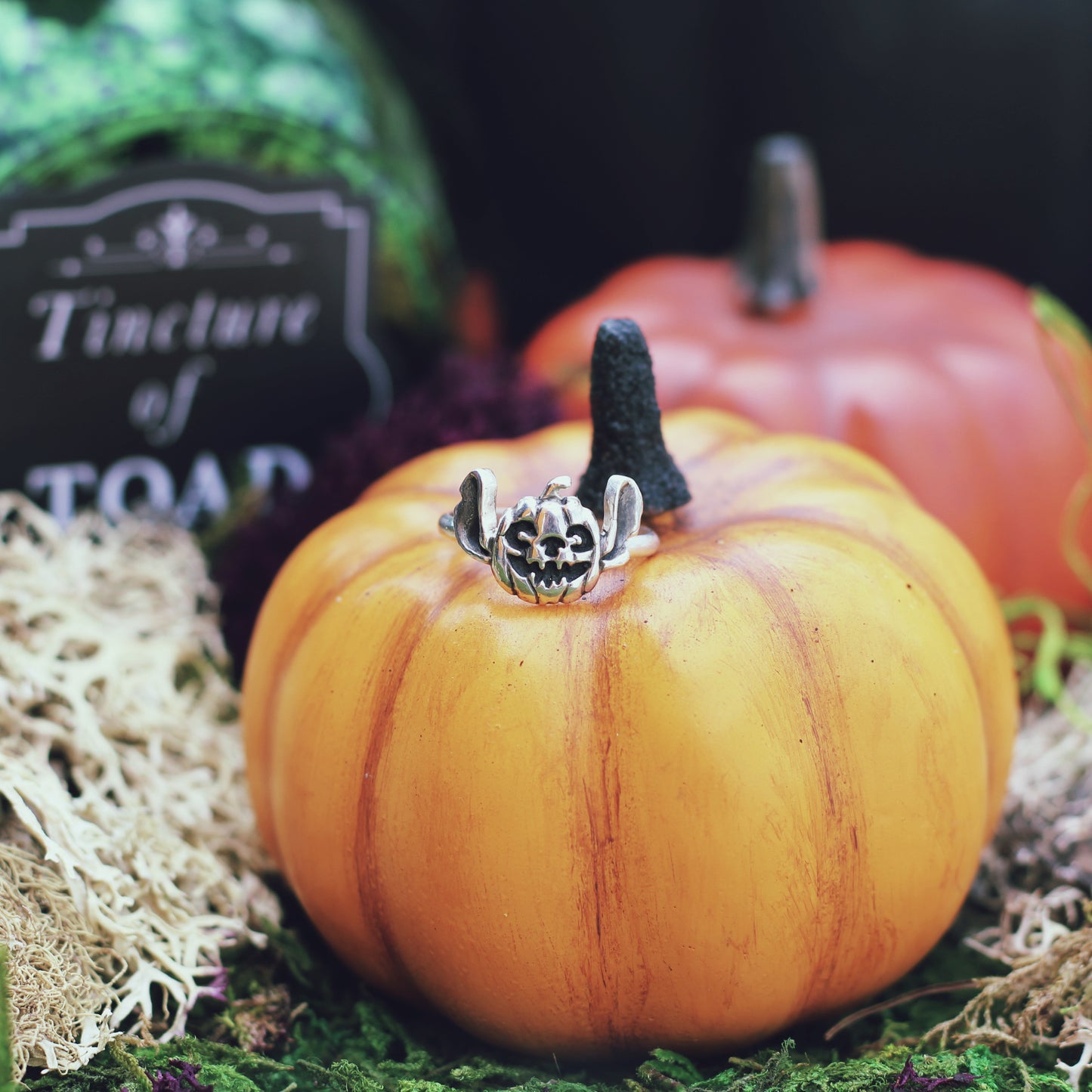 Pumpkin Experiment Ring