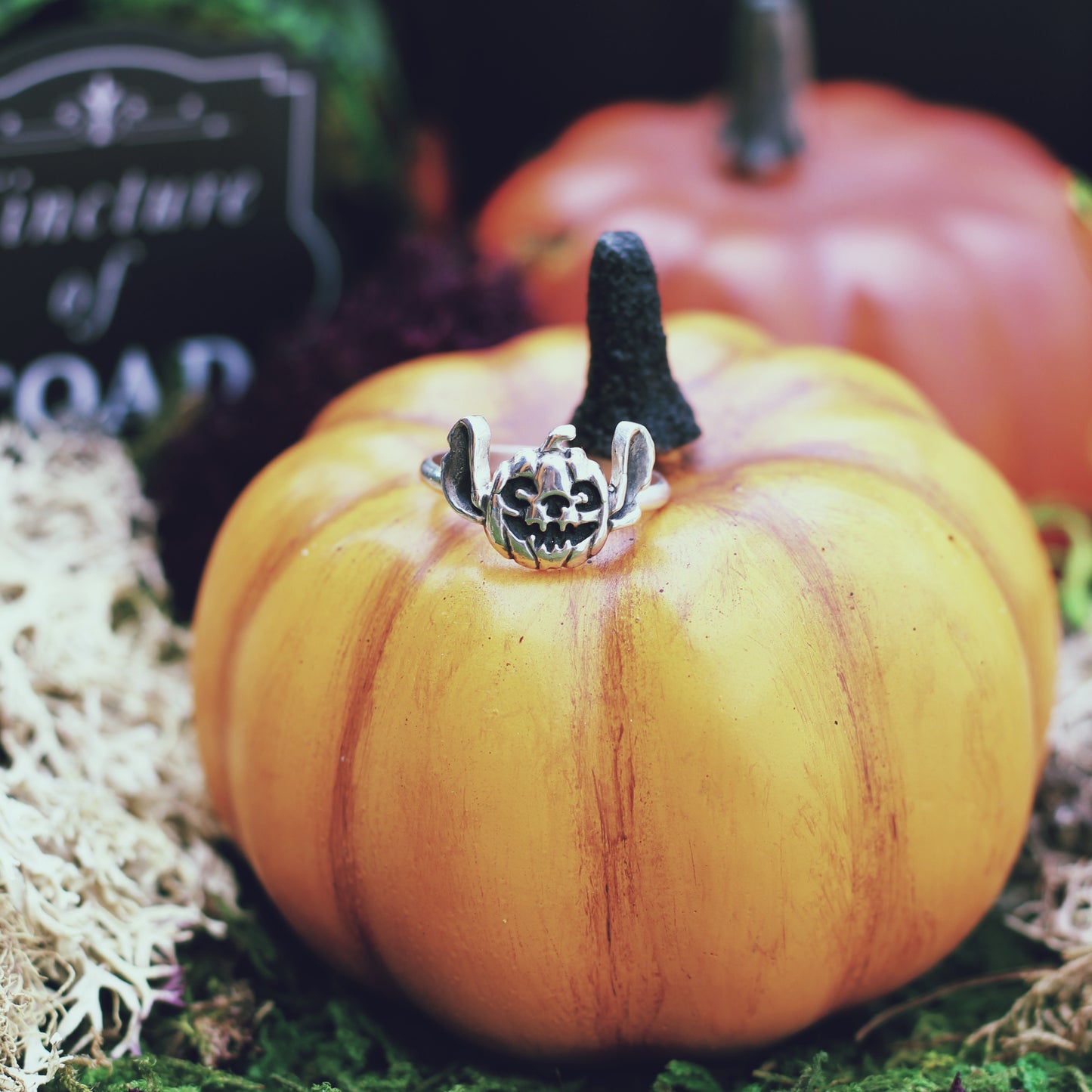 Pumpkin Experiment Ring