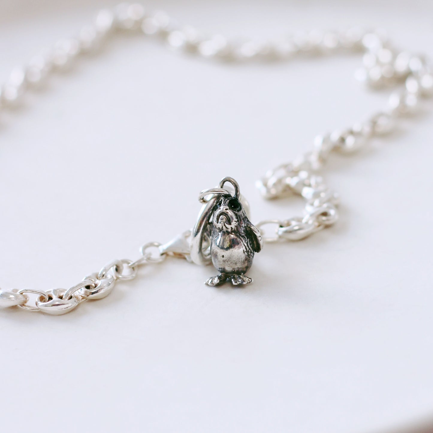 *Charms*