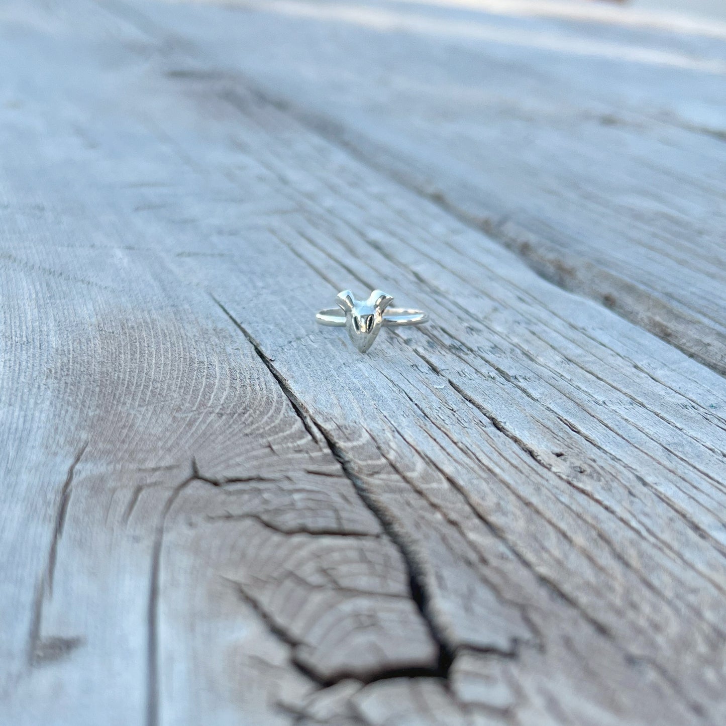 RIP Pup Ring