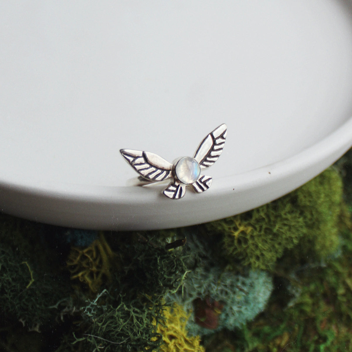 Fairy Ring