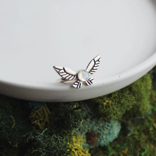 Fairy Ring