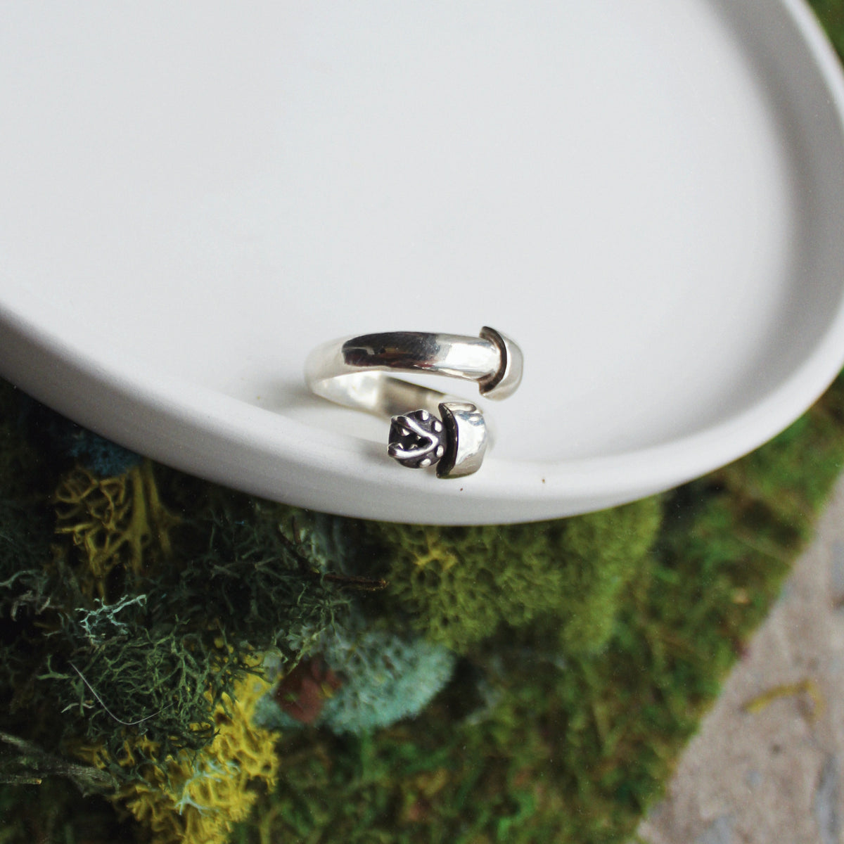 Warp Pipe Ring