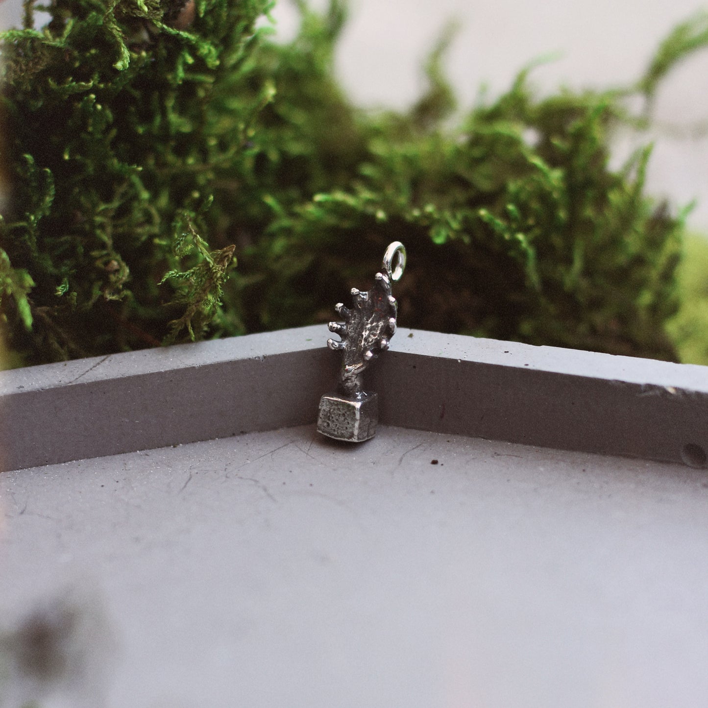 *Charms*