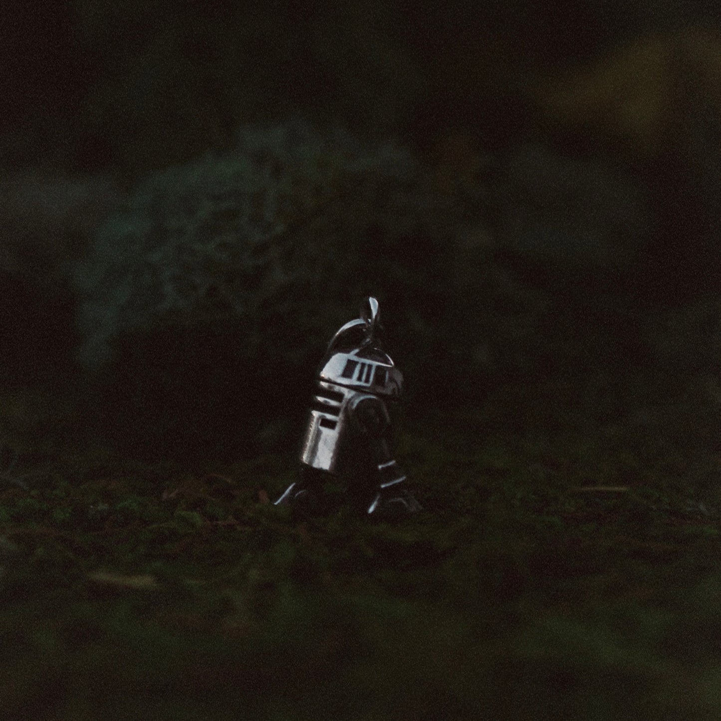 *SW Charms*