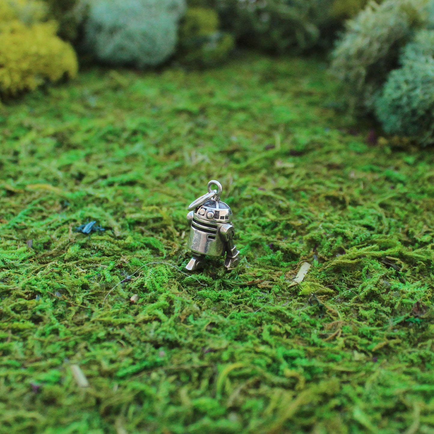 *SW Charms*