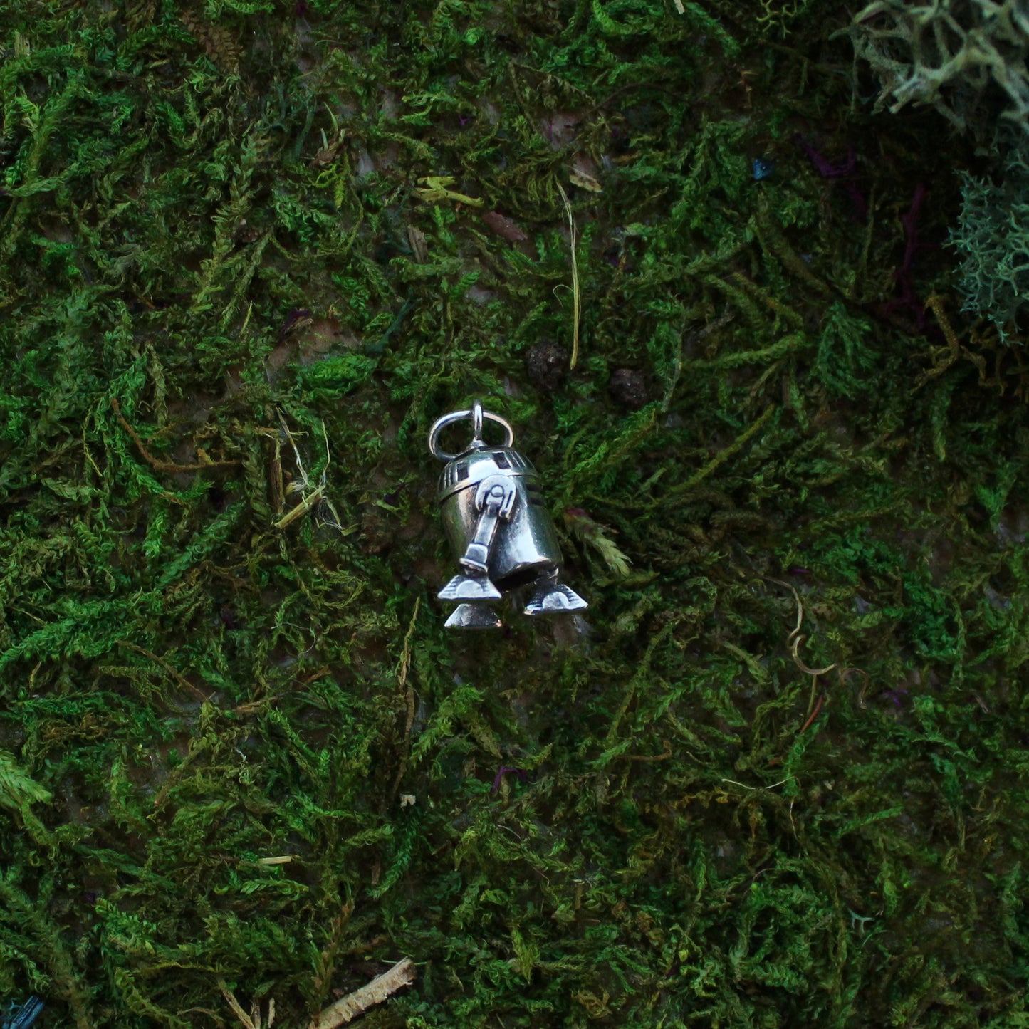 *SW Charms*
