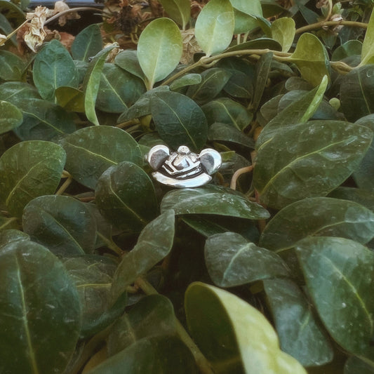 Adventure Hat Ring