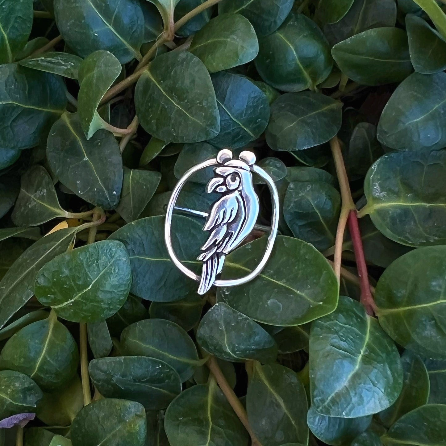 Parrot Ring